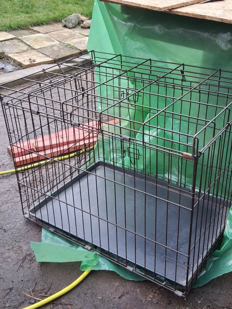 Large dog crate