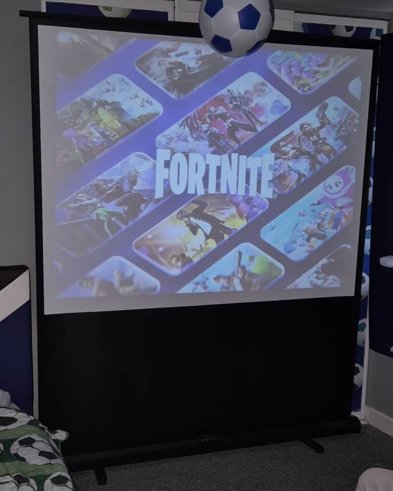Projector and Screen