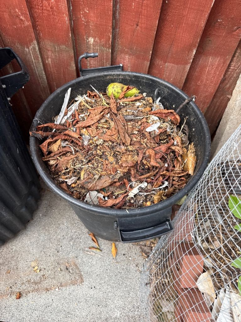Free Pigeon Manure/Compost – Ready for Your Garden