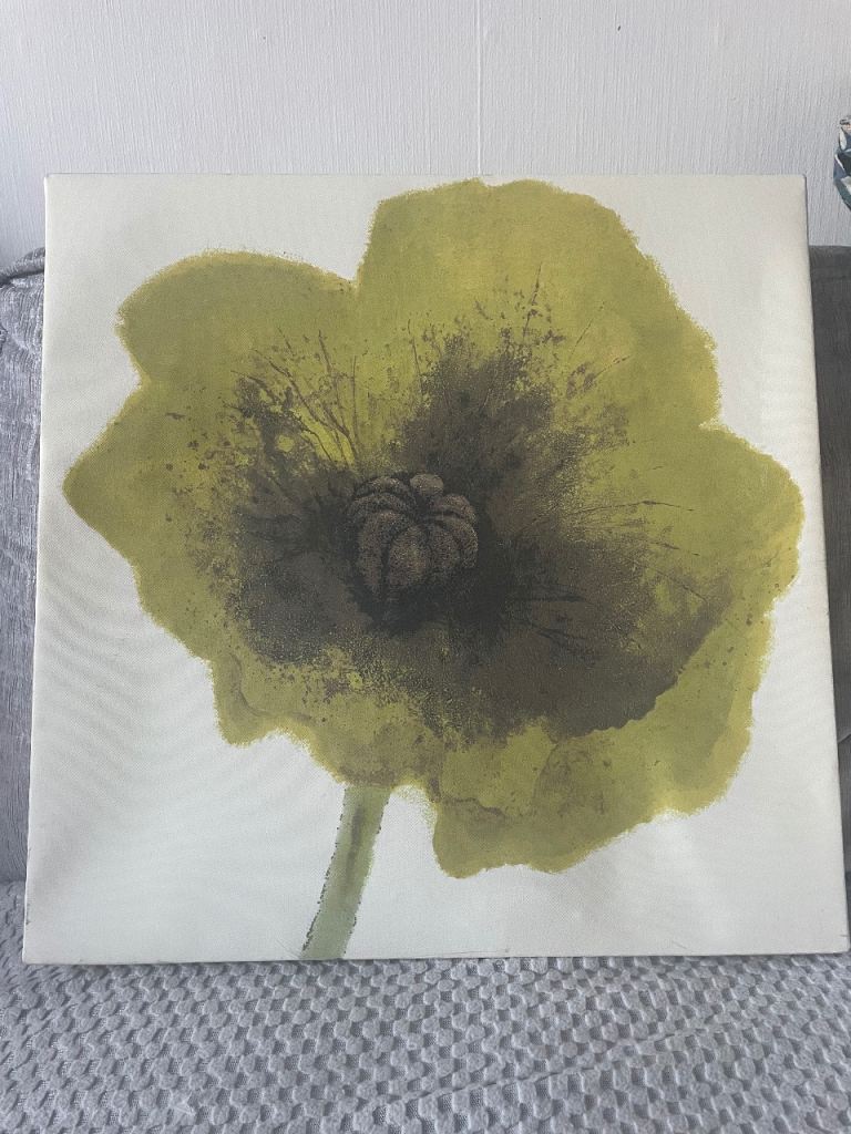 Large Green Poppy Canvas Wall Art – Good Condition