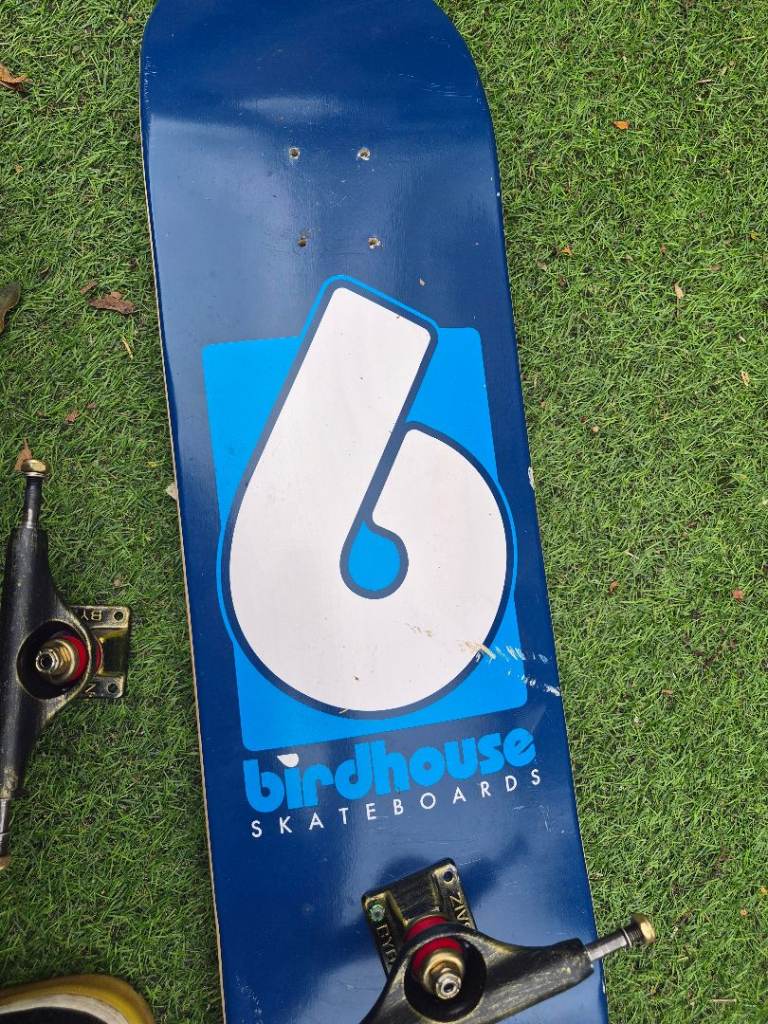 Birdhouse skateboard 
