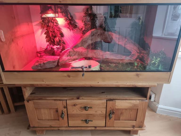 Vivarium tank 4ft with accessories 