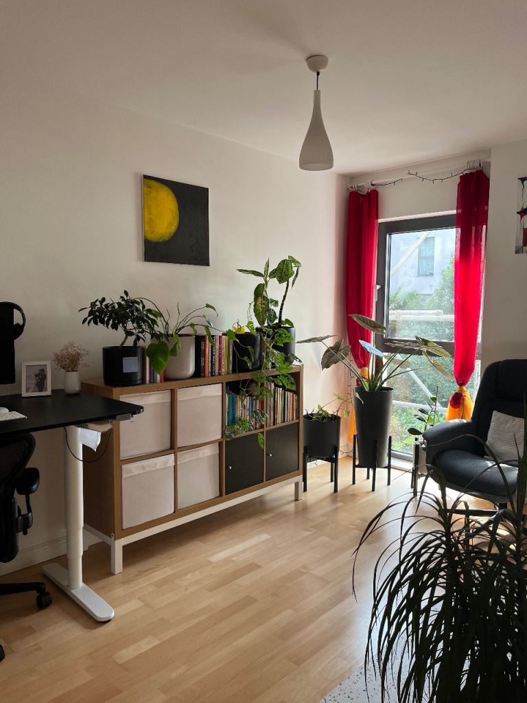 KALLAX shelves with under frame and storage boxes