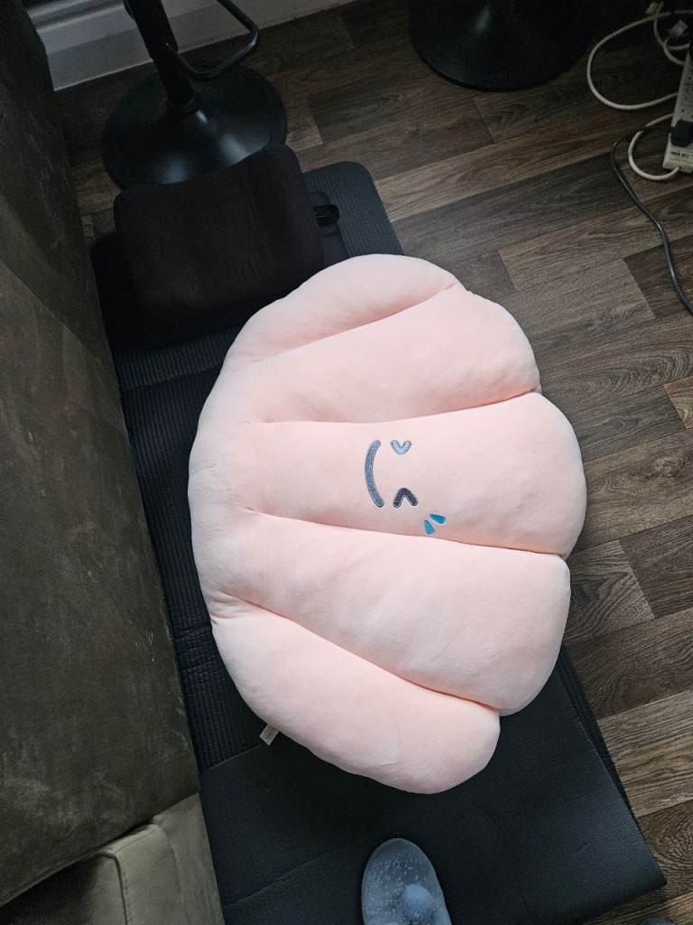 Big shell pillow