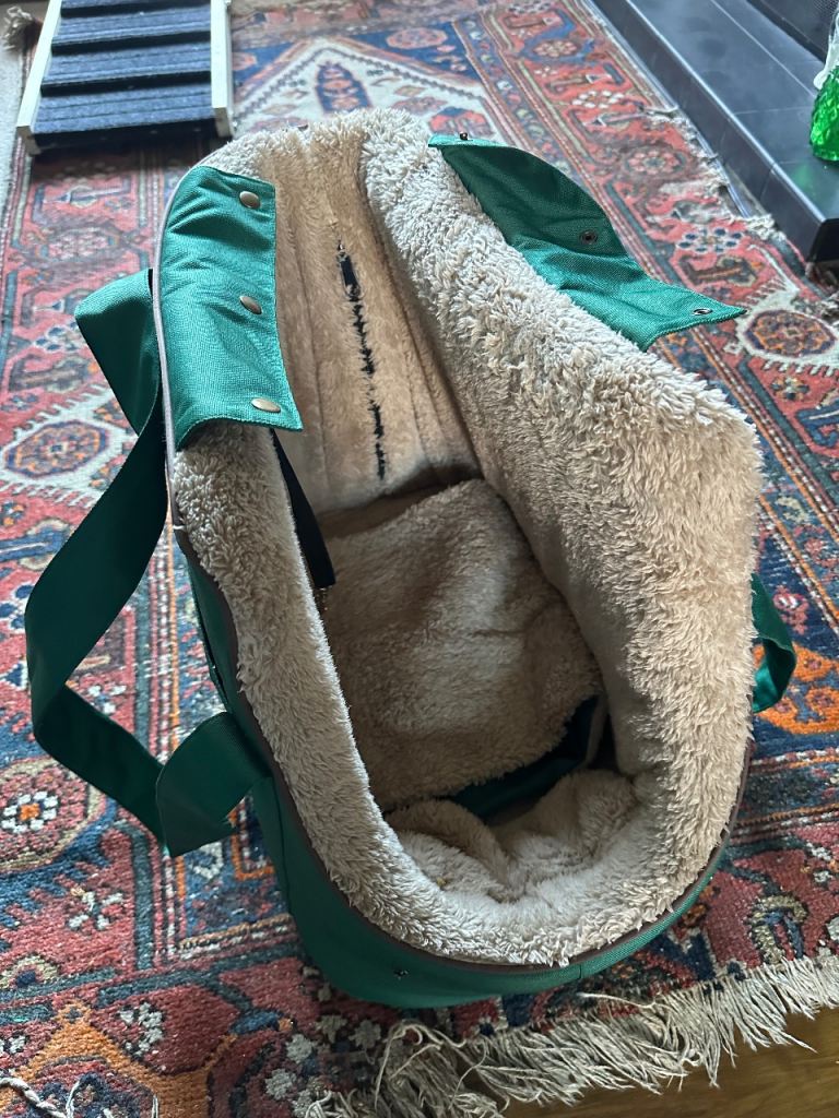 Green plush dog carrier 