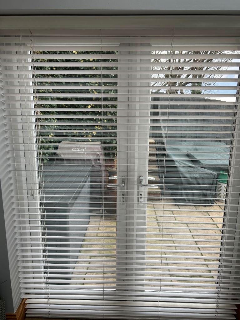 Patio door blinds