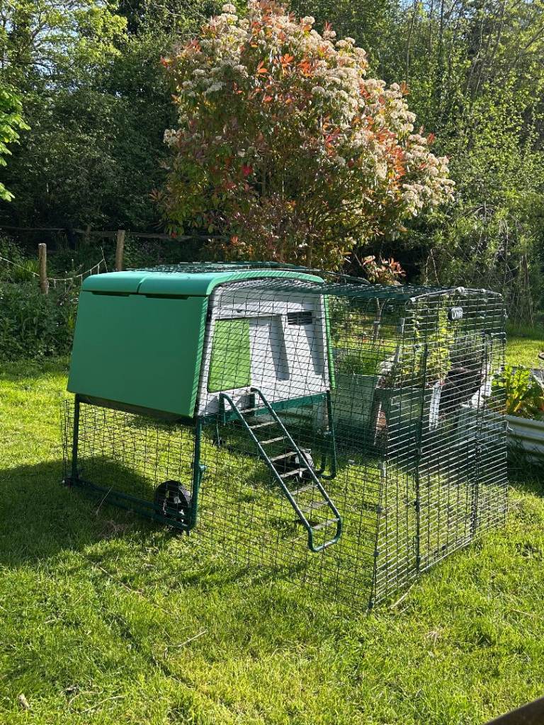 Eglu Cube chicken coop