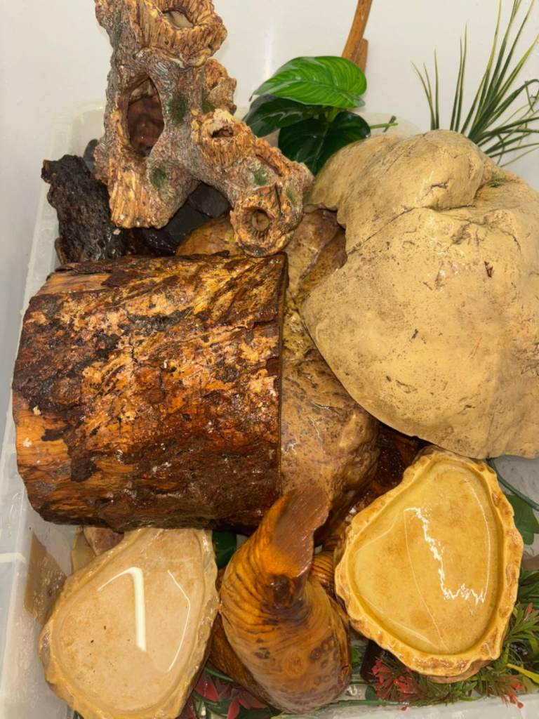 Reptile Vivariums, Incubator & Accessories 