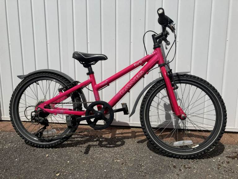 Dawes Girls Bike
