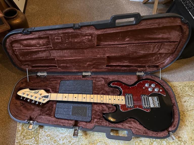 Peavey T60 with Peavey Hard Case