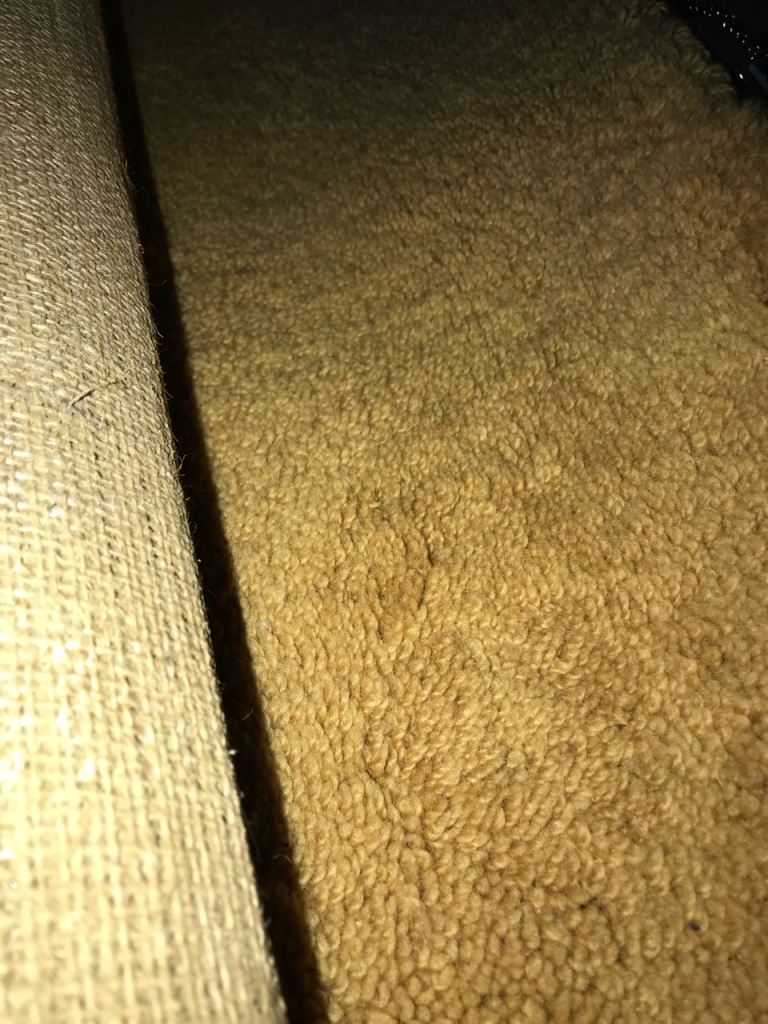 Good Condition Brown Carpet / yellow Rug