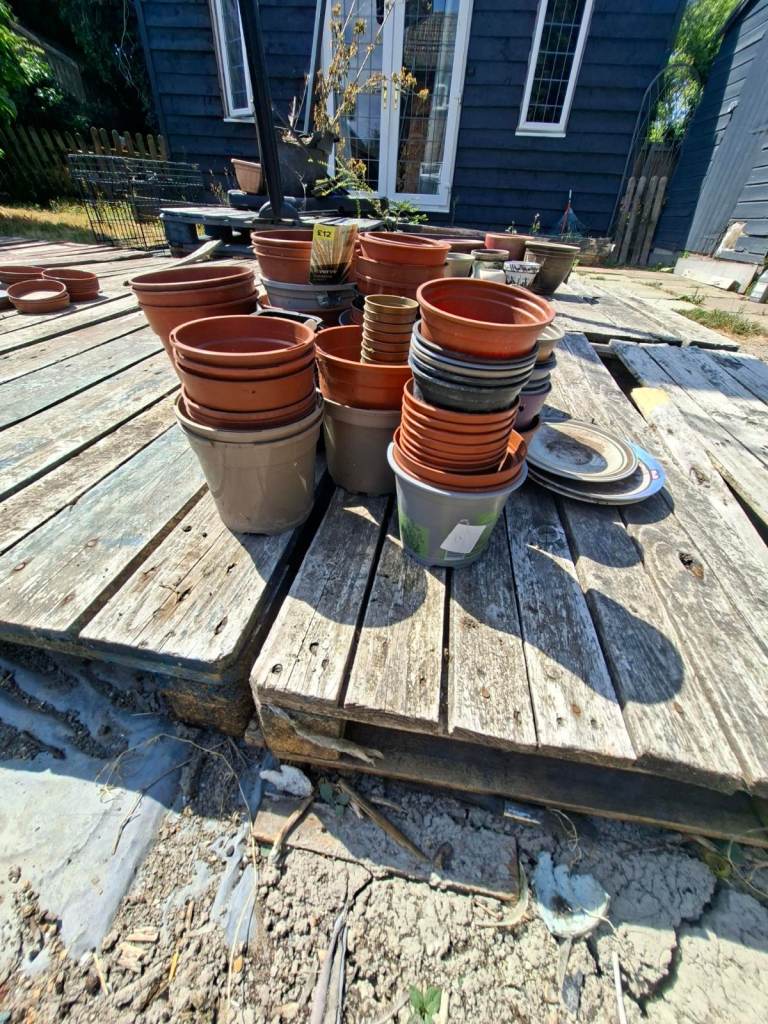Bundle of small and medium flower pots for free. 