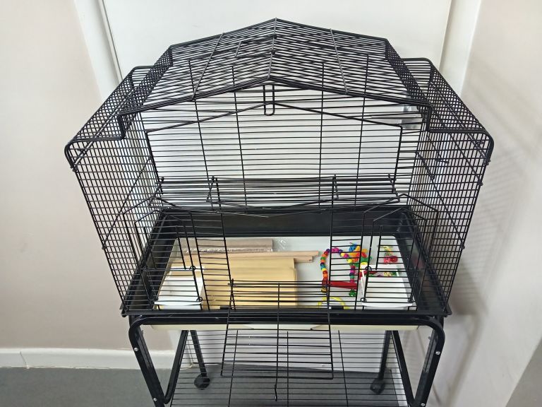 Bird cage with stand 