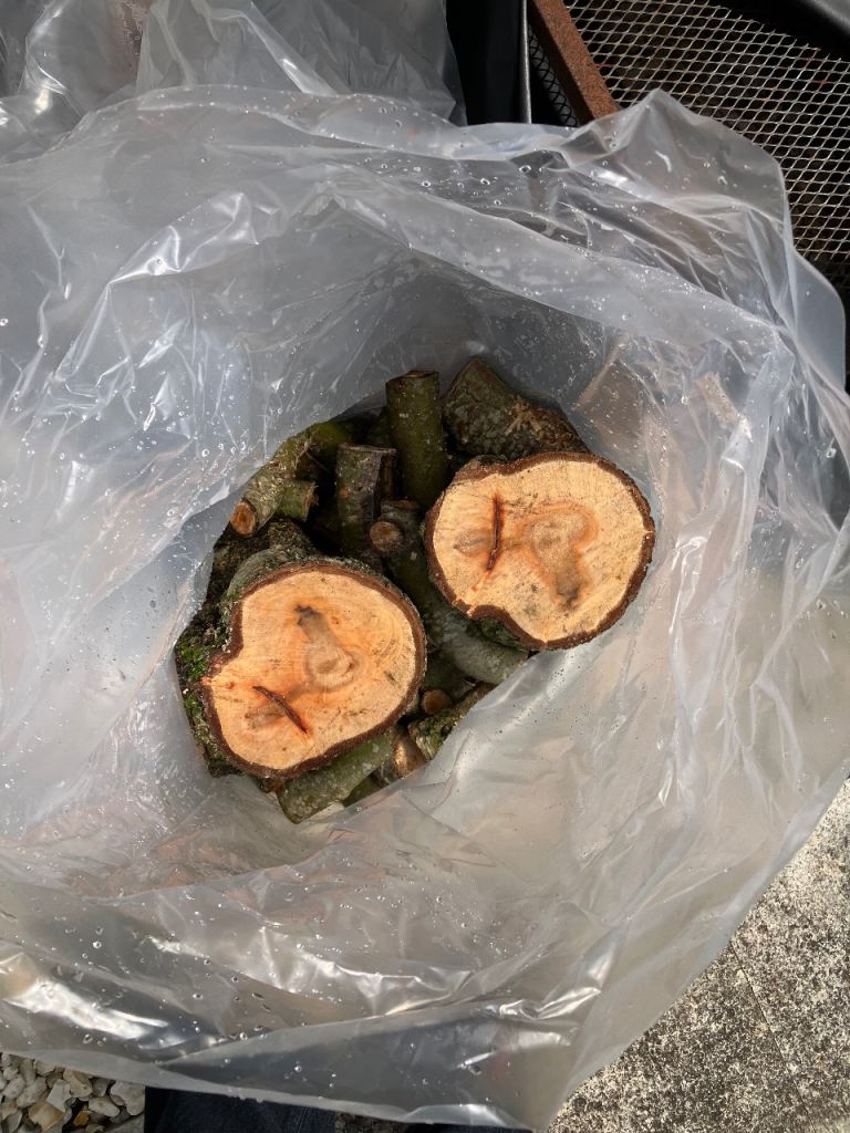 Good Sized Bag of UNSEASONED Wood Logs – Cut 12 Weeks Ago