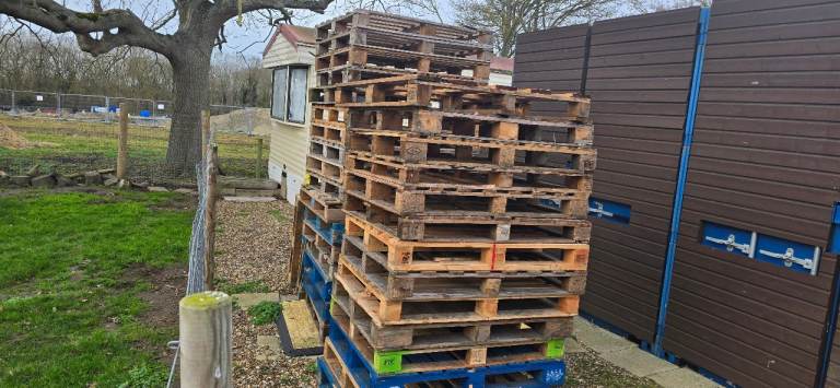 FREE Wooden Pallets – Approx. 25 – Collection Only 
