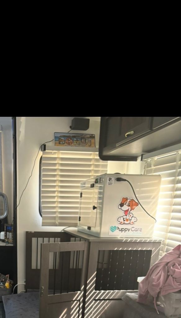Puppy incubator 