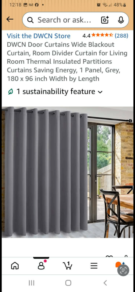Room divider curtain and pole 