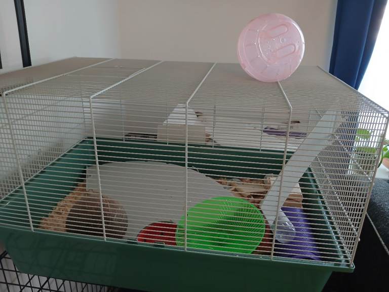 Hamster cage with accessories 