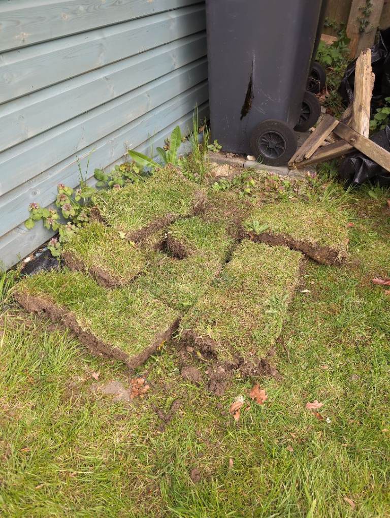 Free turf to Collect or Dig Up