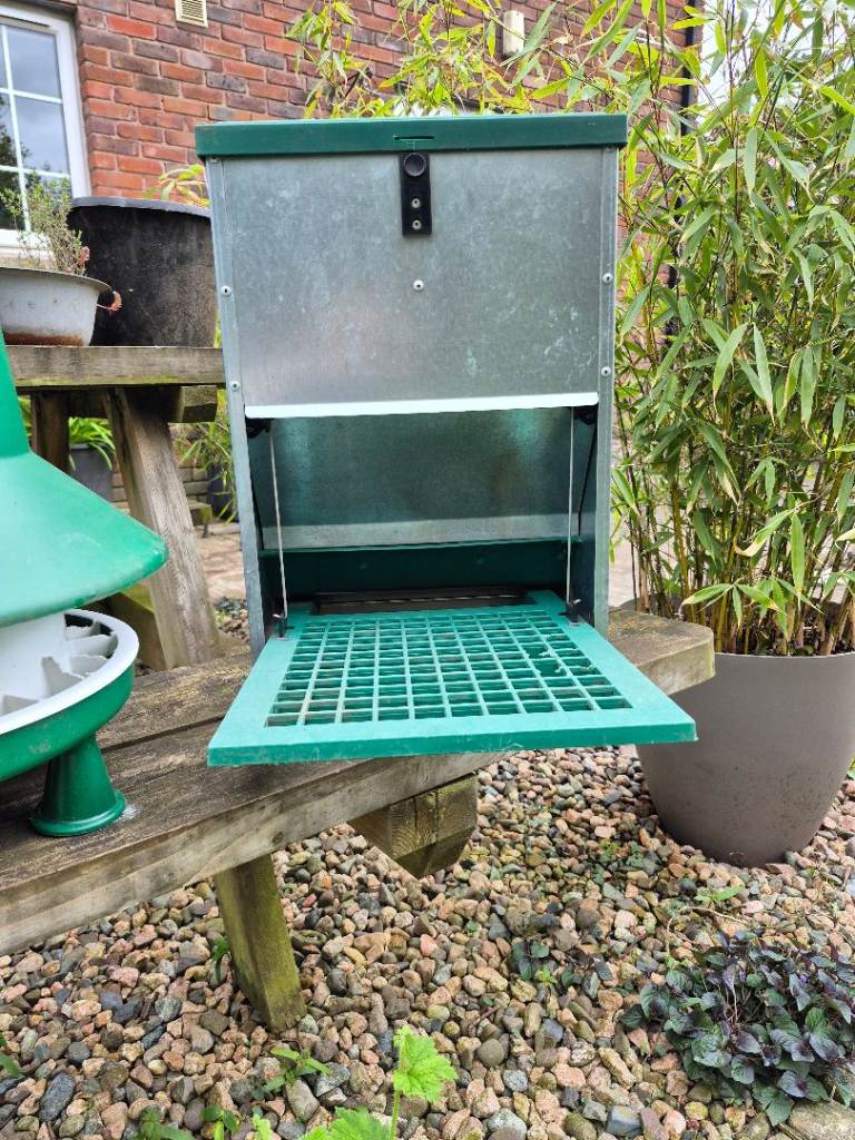 Variety of Chicken Feeders