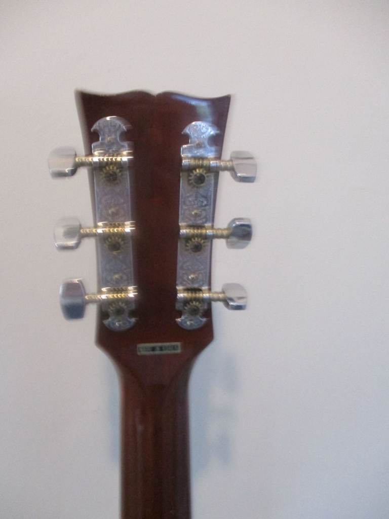 GUITAR/VOCALIST ENTERTAINER GEAR