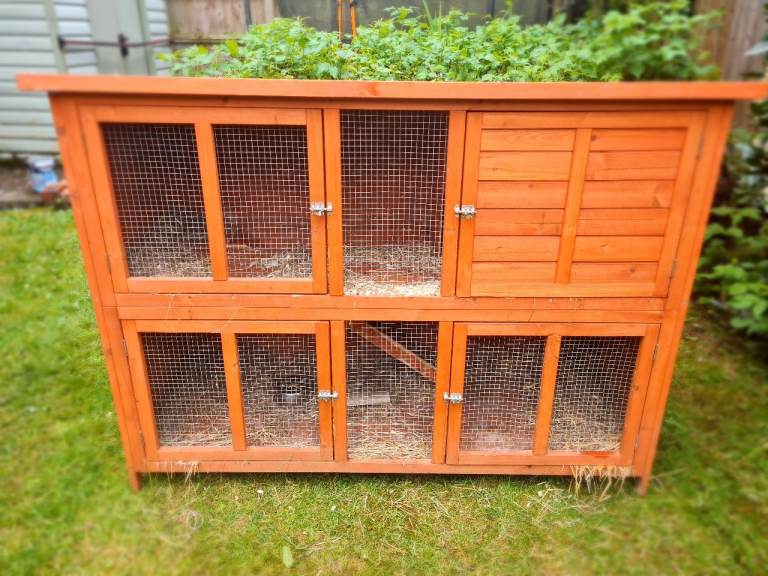 2 storey rabbit/guinea pig hutch 
