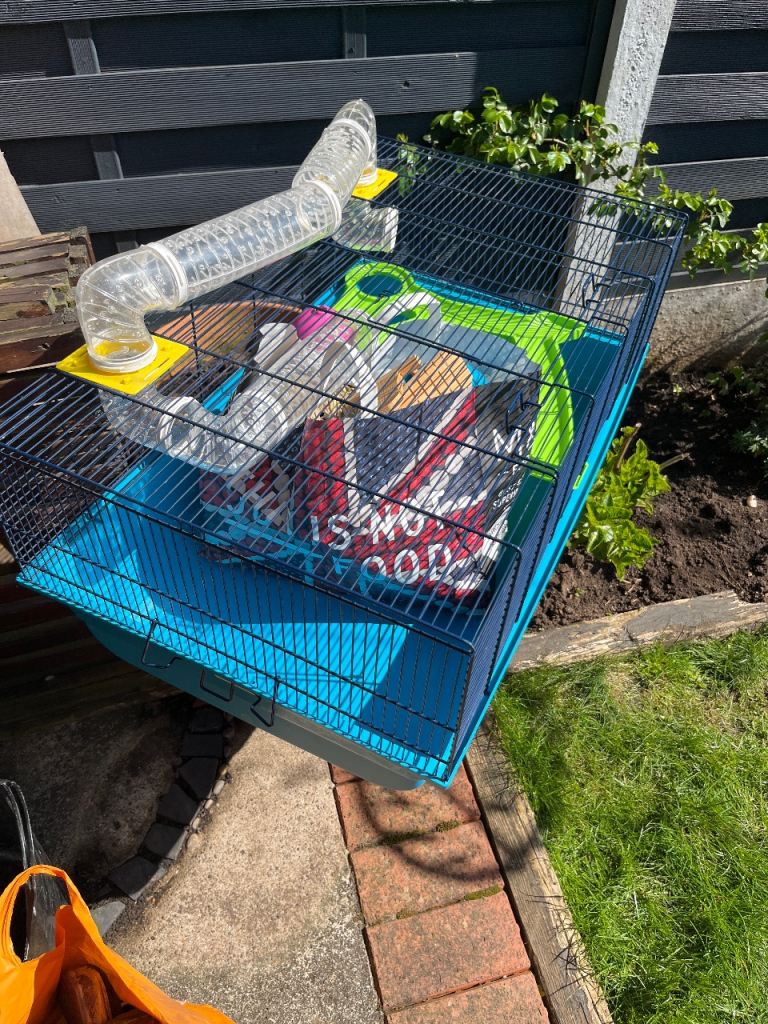 Hamster cage 