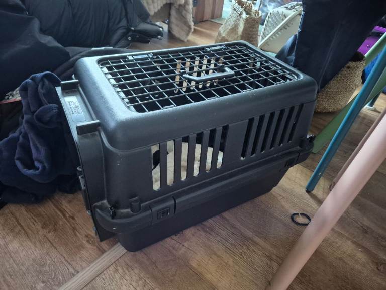 Big cat/dog cage