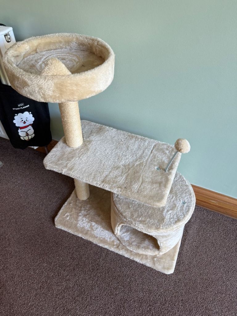 Cat scratch post and bed