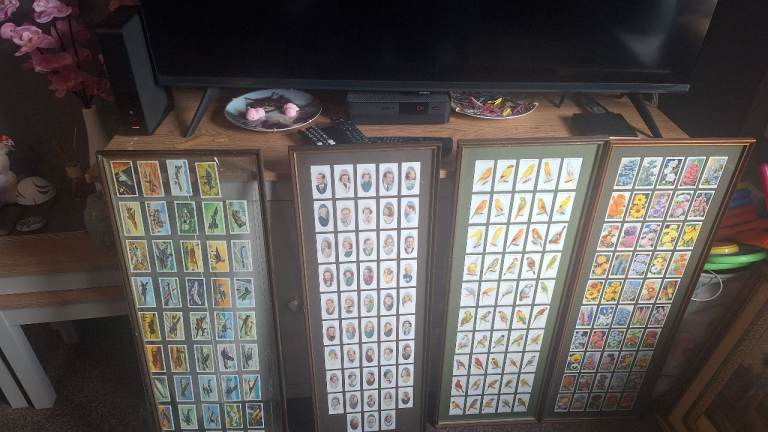 Framed Vintage Cigarette Cards - Birds & Famous People