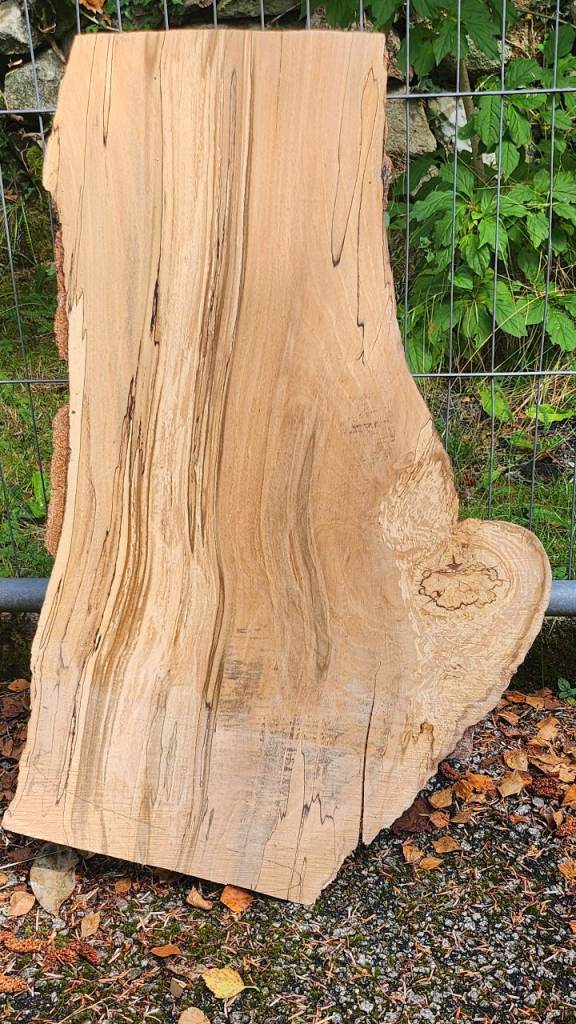 Spalted Beech Live Edge Slab for Crafting or Furniture Project