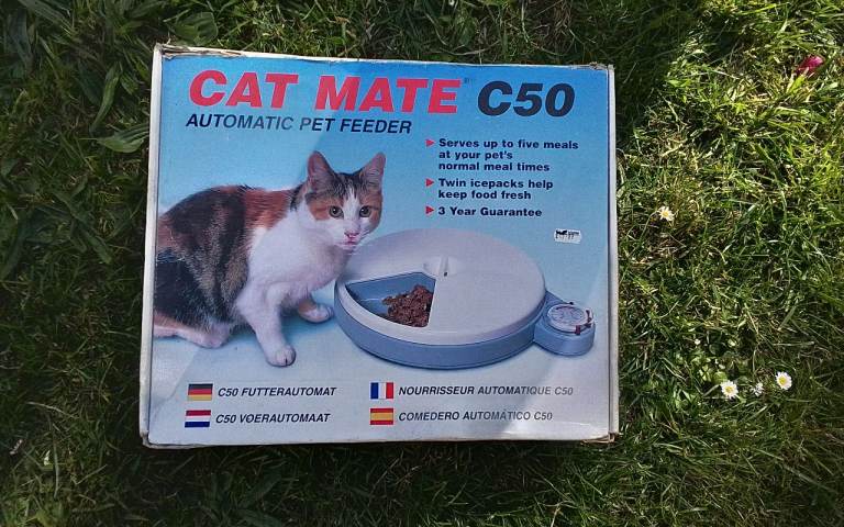 Large Cat Feeder