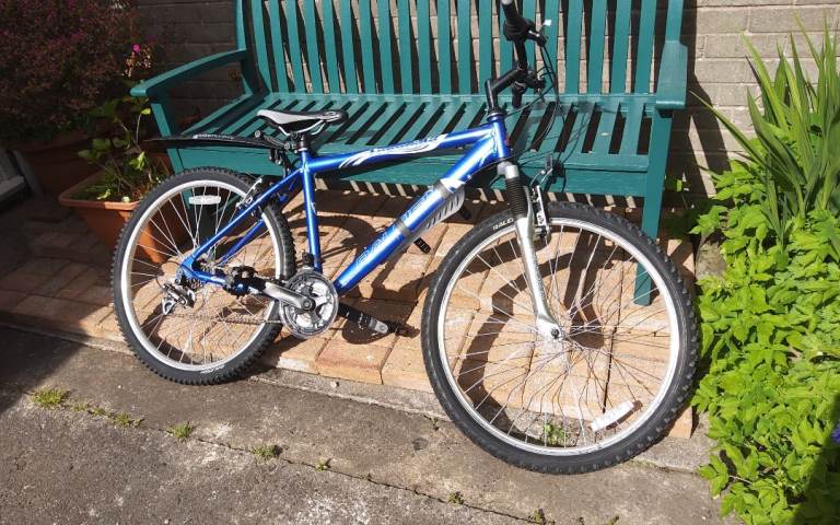 Raleigh Freeride Mountain Bike - Blue, Good Condition