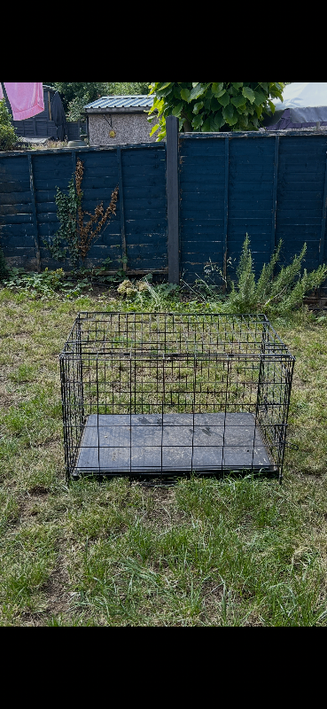 Dog cage pen for medium dog
