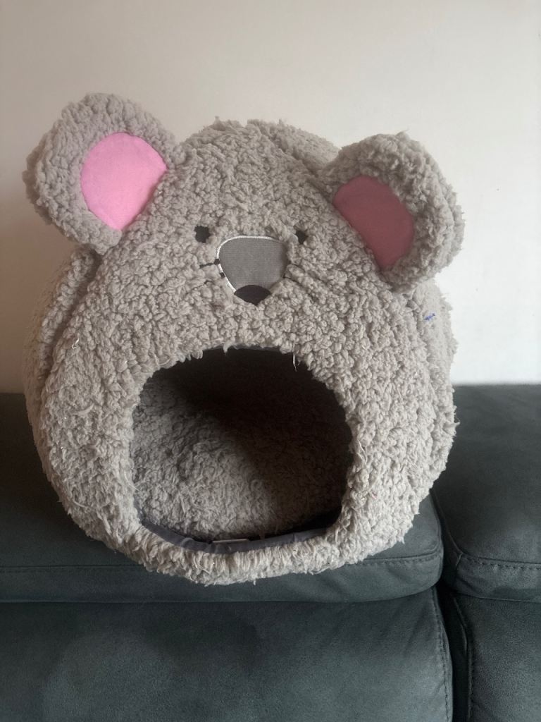 cat bed