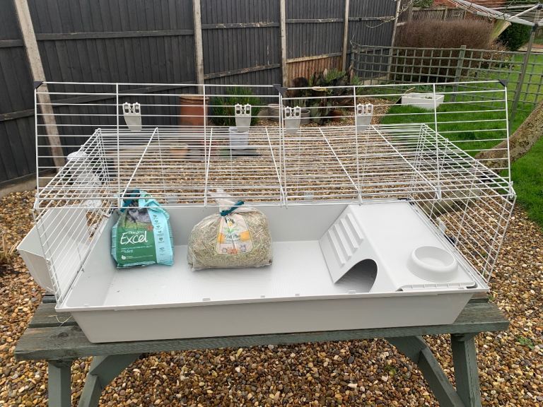 Guinea pig / rabbit cage