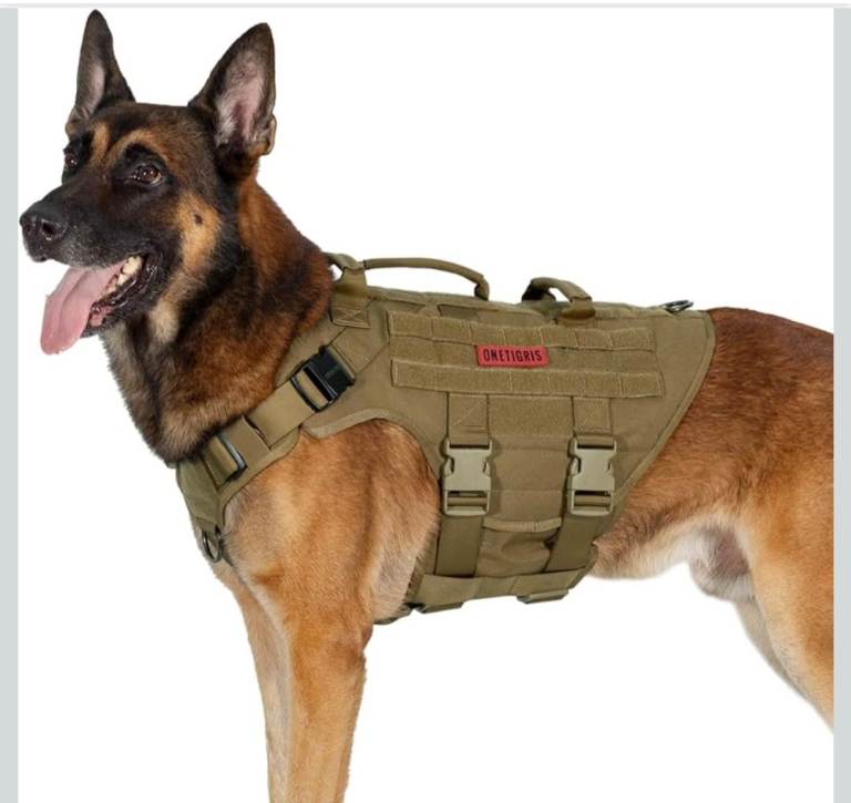 Dog harness