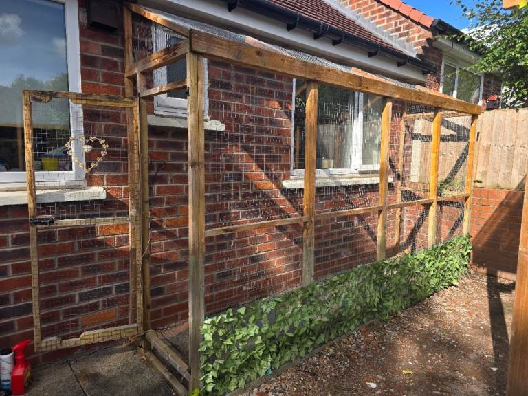 Catio