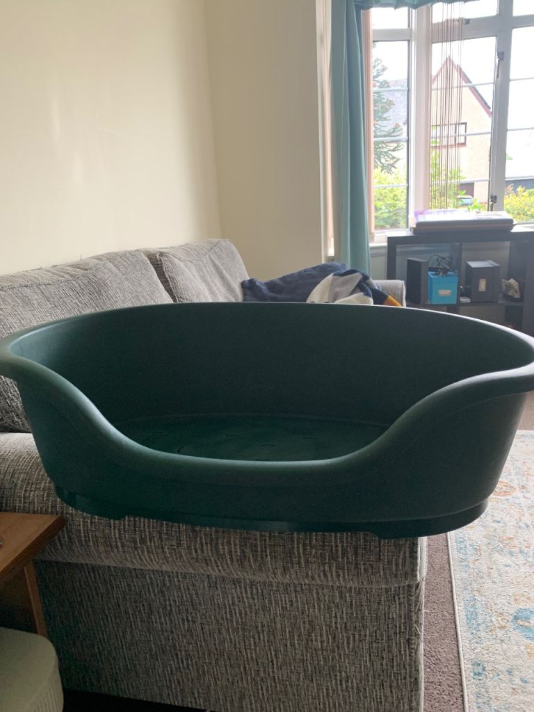 Large dog bed
