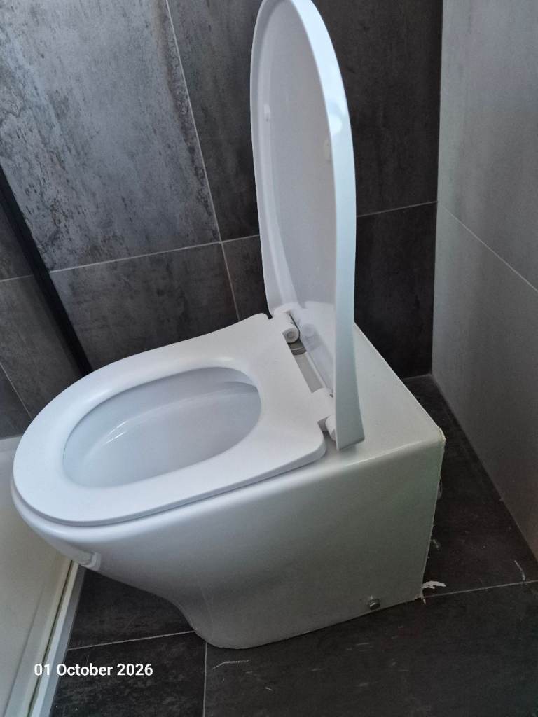 Toilet bowl and seat