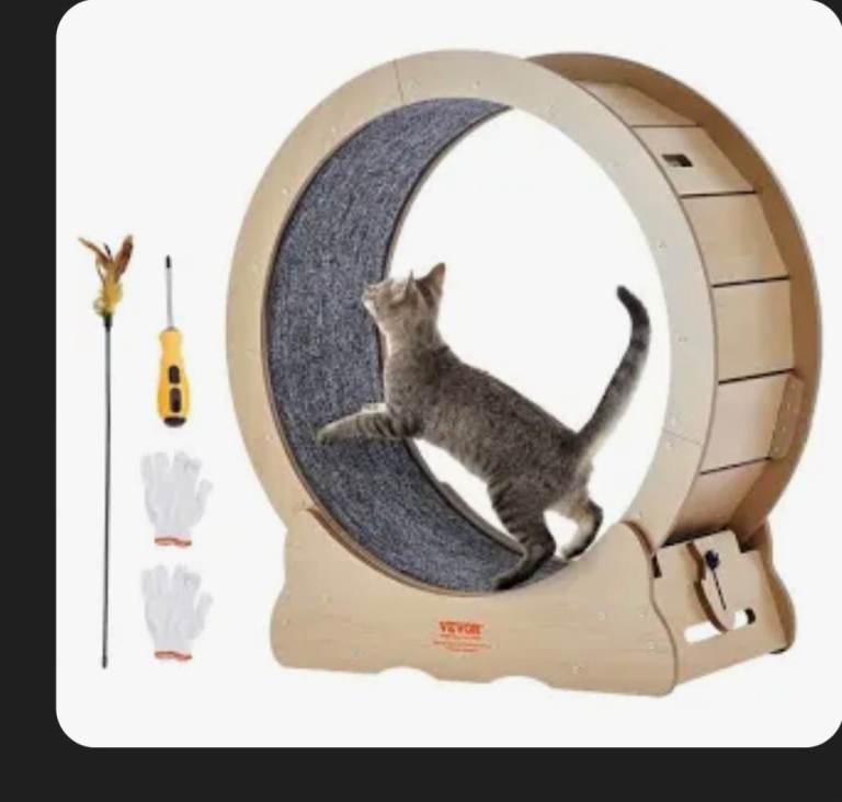 Brand new still in sealed box Cat Wheel
