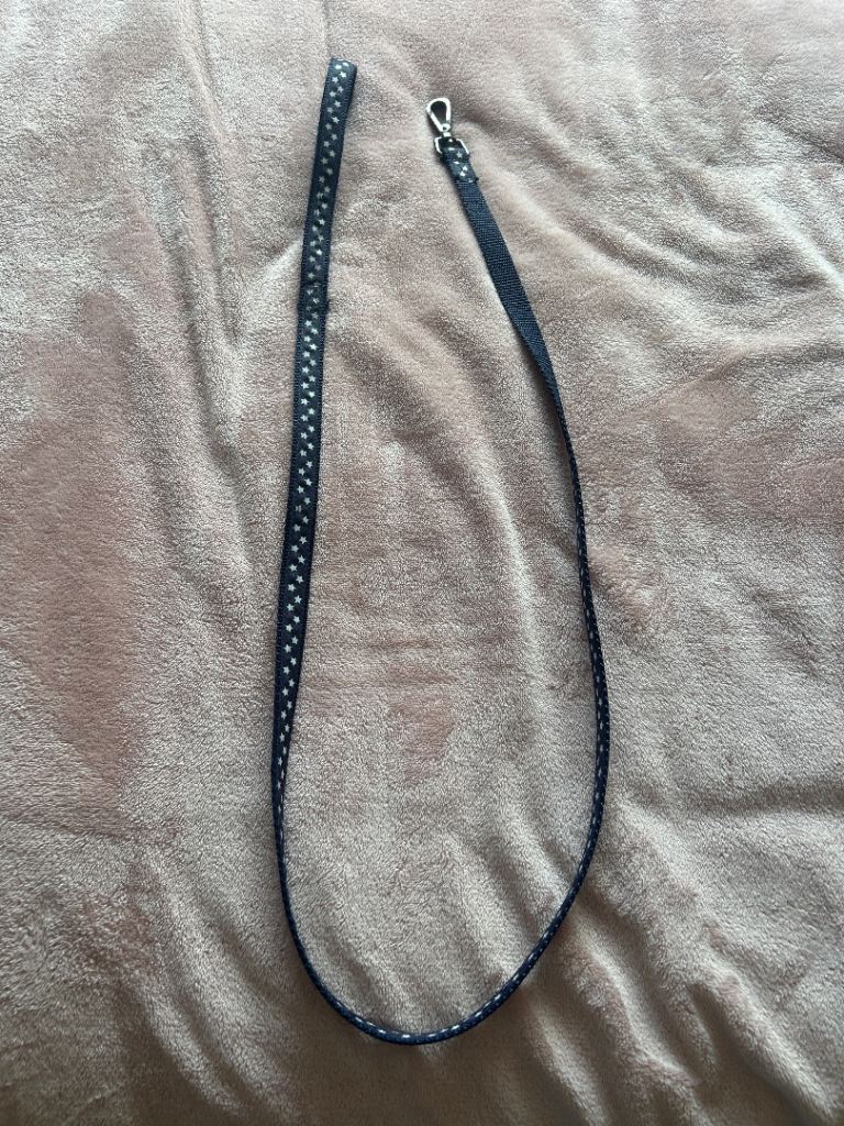 Dog lead 