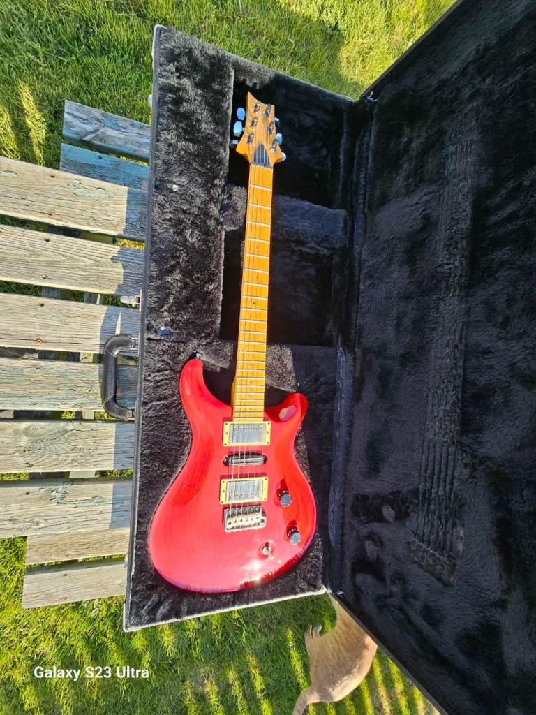 Prs swamp ash special 1999 USA