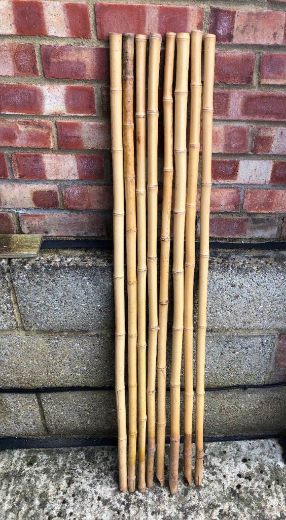 8 extremely strong garden Bamboo canes 