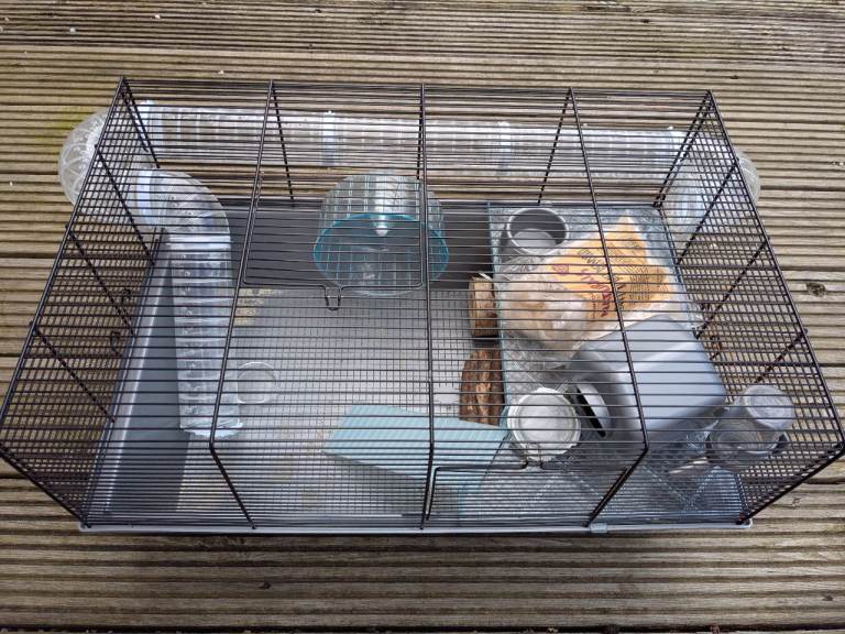 Hamster cage with some accessories 