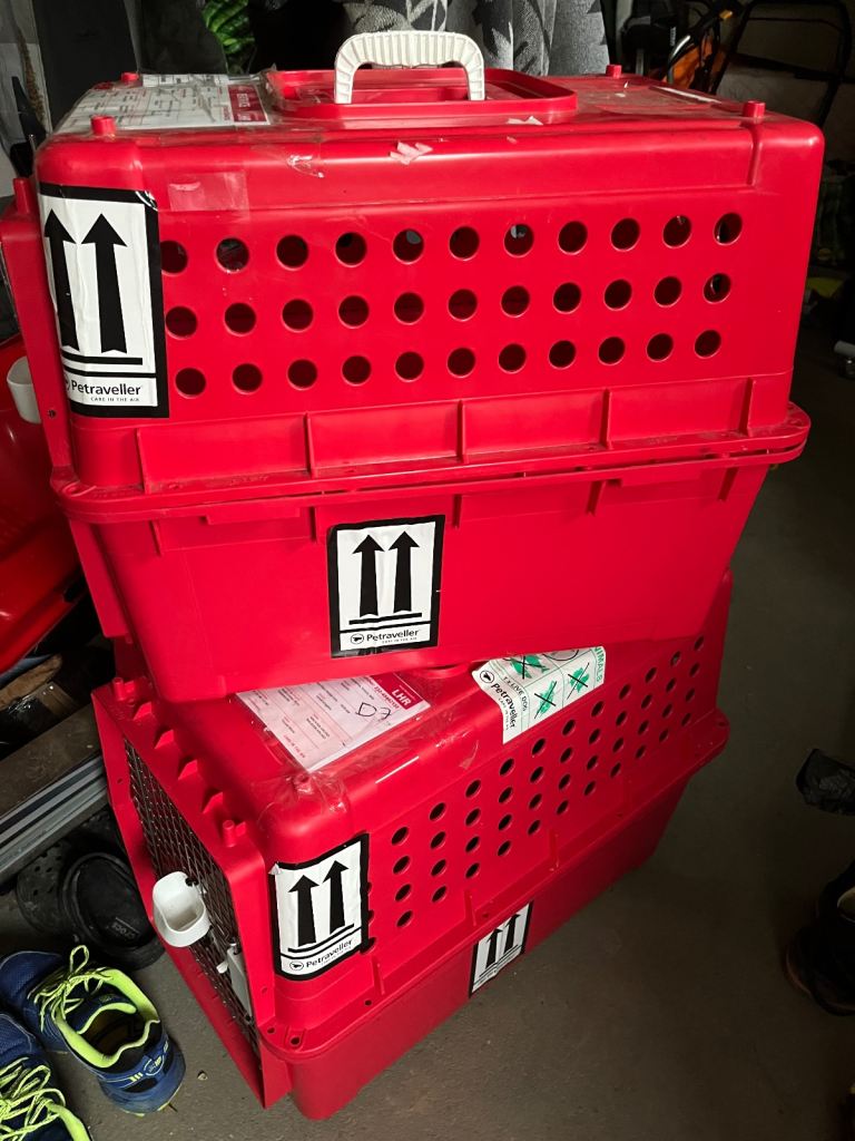 Airline Approved Pet Carrier (Red) Medium 