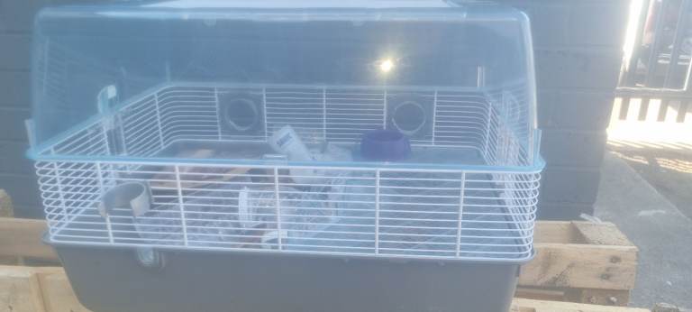 Two hamster cages