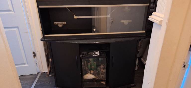 Large lizard vivarium 