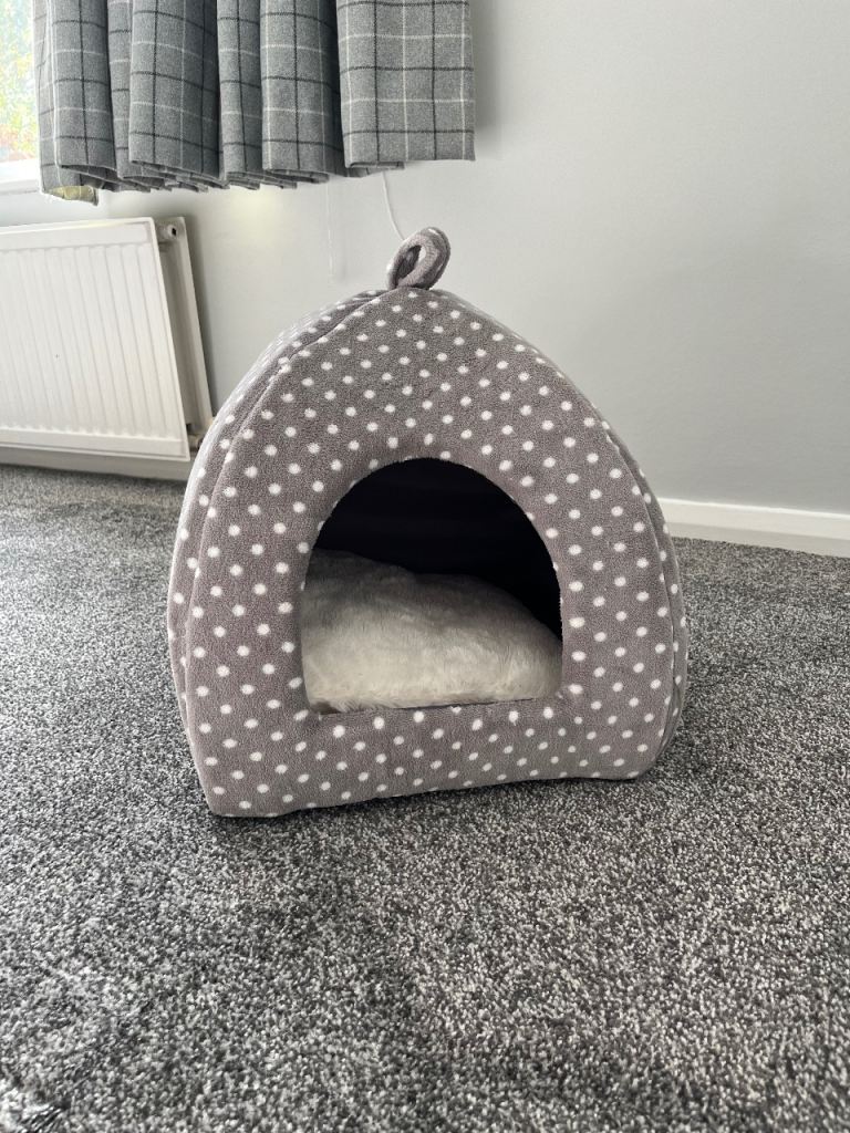 Cat bundle 