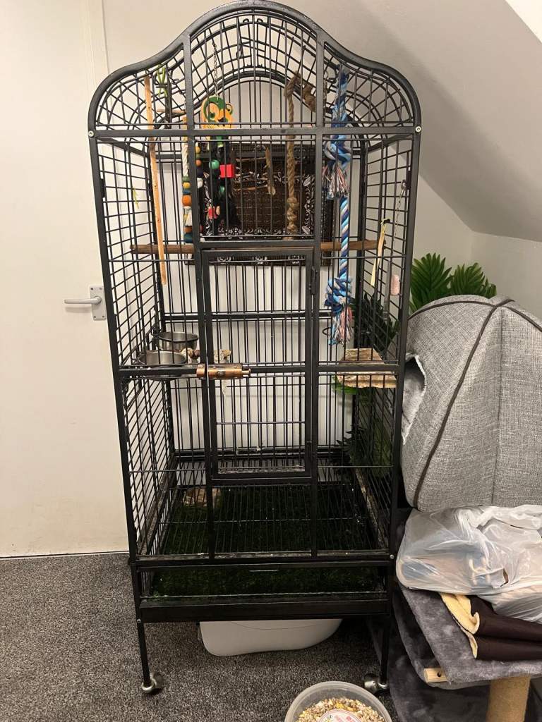 Large Bird’s cage